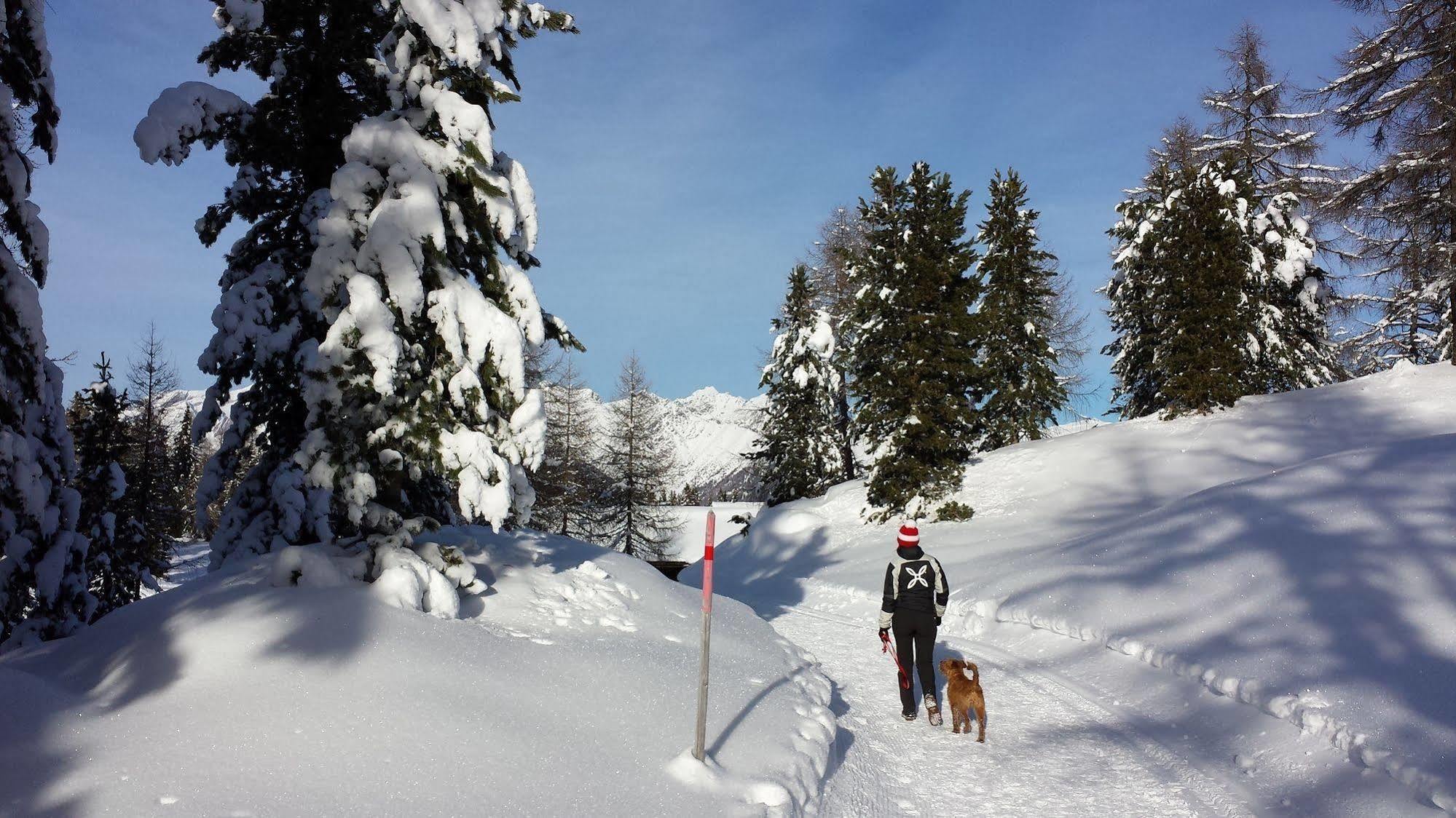Bed & Breakfast Abis - Dolomites 里约·迪·普斯特里亚 外观 照片